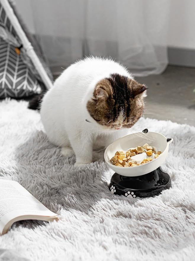 Y YHY Ceramic Cat Slow Feeder, Elevated Dog Food Bowl Tilted Design, Slow Feeder Bowl no Black Chin, Cat Shape for Dry and Wet Food - Image 7
