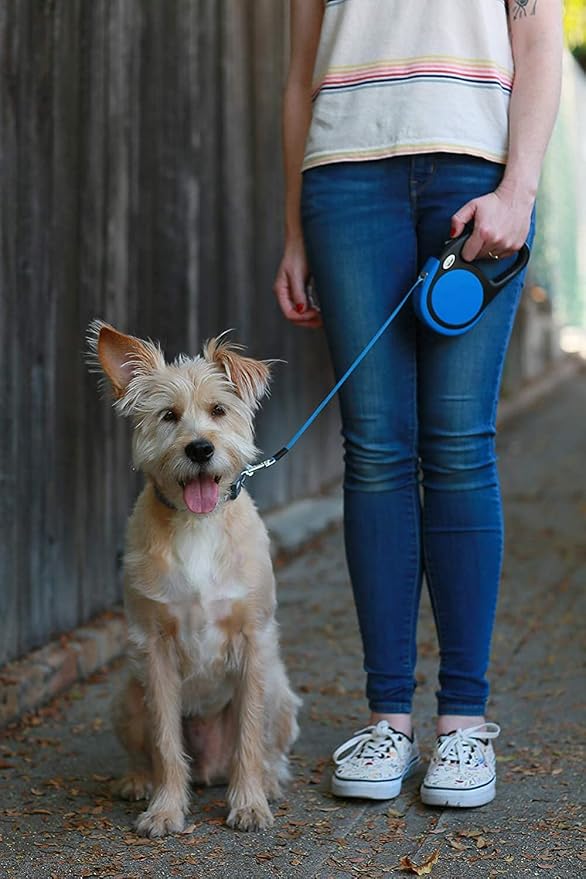 Taglory Retractable Dog Leash, One-Handed Brake, 16ft, Up to 44 lbs, Blue | More Freedom While Staying in Control, Smooth Retraction, Tangle-Free Design, Easy-Grip Handle, Daily Neighborhood Walks - Image 7