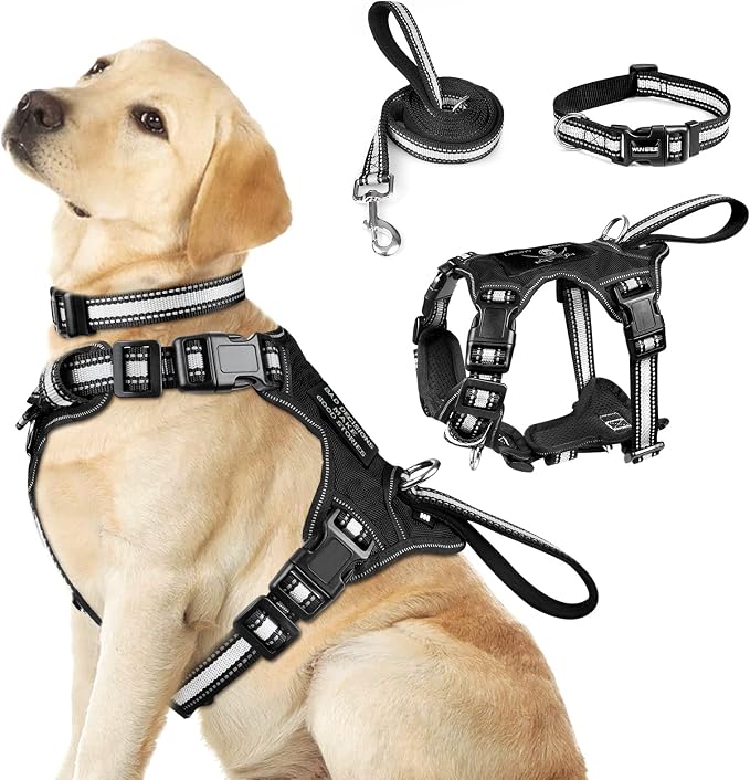Pet Harness Collar and Leash Set, All-in-one Reflective Dog Harness No Pull with Adjustable Buckles for Puppies, Small, Medium, Large, and Extra-Large Dogs (Large, Black) by WINSEE