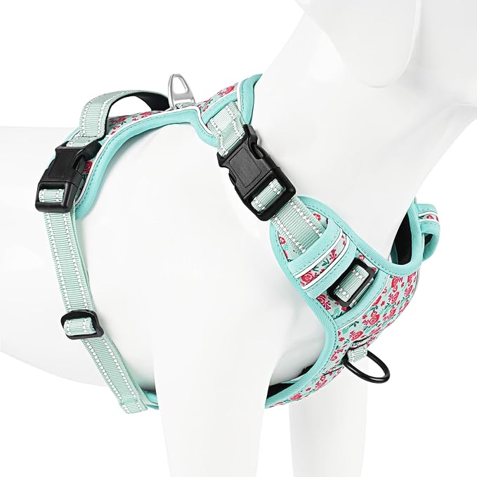Timos Dog Harness, Front Clip No Pull Medium Sized with Handle, Cyan, M | No Choke, Adjustable Reflective Soft Padded, Quick Release 3 Buckles, Easy On & Off, Front & Back 2 Clips for Outdoor Walking - Image 8