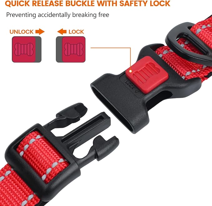 Taglory Reflective Dog Collar for Puppies, Gentle and Safe for Night Walks | Night-Walk Visibility, Soft Neck Cushioning, Adjustable 8-12 in, Locking Buckle, D-Ring for Leash and ID Tags - Image 3