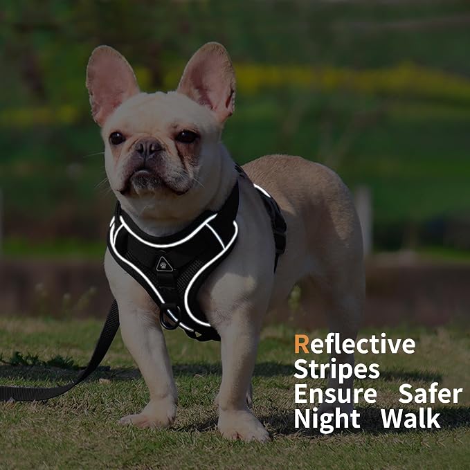 Dog Harness Medium Sized Dog Pet Vest with Leash Set Black XL | Adjustable Puppy Vest Harness, No Choke No Pull, Soft Padded, Step-in Dog Vest, Reflective Cat Harness, Breathable Air Mesh - Image 5