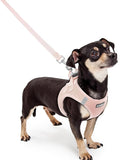 rabbitgoo Dog Harness Small Sized and Leash Set, Step-in Puppy Pet Vest | Light, Soft, Breathable Air Mesh, Easy on and Remove with Hook & Loop, Secure Reflective for Walking, Pink XXXS by rabbitgoo