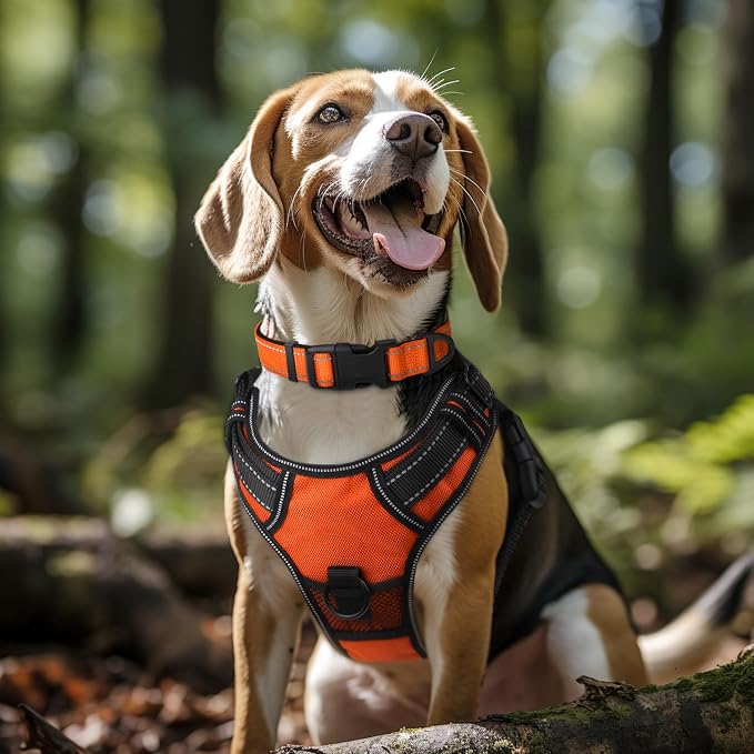 Joytale Reflective Dog Collar, Adjustable Neoprene Padded, Orange L | Breathable Nylon for Large Dogs, No Chafing on Walks and Outdoor Hikes, Tear-Resistant Webbing, Metal D-Ring, Night Safety - Image 2