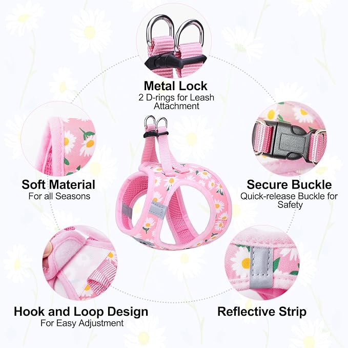BEAUTYZOO Small Dog Harness and Leash Set,No Pull Puppy Pet Vest-Daisy, XS | Step-in Easy On/Off, All Season Breathable Mesh,Escape-Proof Hook & Loop,Lightweight Reflective,No Choke,Easy Walking Control - Image 4