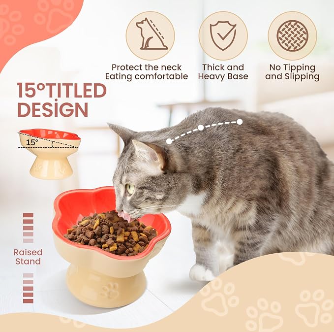 S&Q's CERAMICS Raised Cat Bowl, Elevated Cat Bowl for Food and Water, Ceramic Titled Dish, Anti Vomit & Whisker Friendly, Microwave and Dishwasher Safe (Orange, 5.8") - Image 3