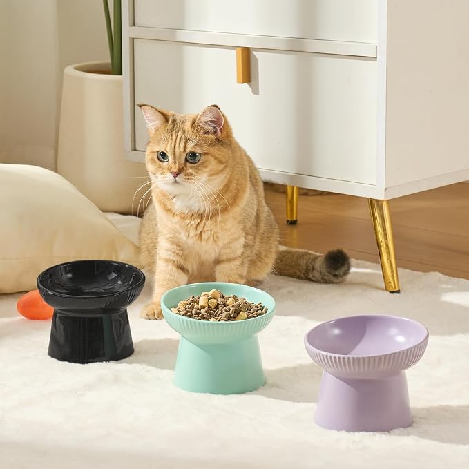 Ceramic Elevated Cat Bowls-Water Bowl, 15° Tilted Design, Anti-Vomiting & Spine Protection, Prevent Whisker Fatigue for Kittens to Adult Cats and Small Dogs (White-15° Cat Bowls-2) - Image 6