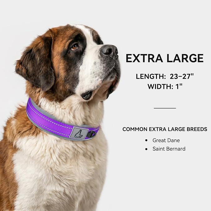 Joytale Reflective Dog Collar for XLarge Dogs with Wide Padding, Purple | Soft Cushion Reduce Neck Strain, Night Safety Walking, Metal Buckle and Adjustable Eyelets, Separated Dog ID Tag Ring - Image 5