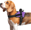 rabbitgoo No Pull No Choke Pet Vest, Adjustable Pet Harness with Molle | Medium Sized Dog Harness, Reflective, Easy Wearing with One Buckle for Walking, Training, Purple, M by rabbitgoo