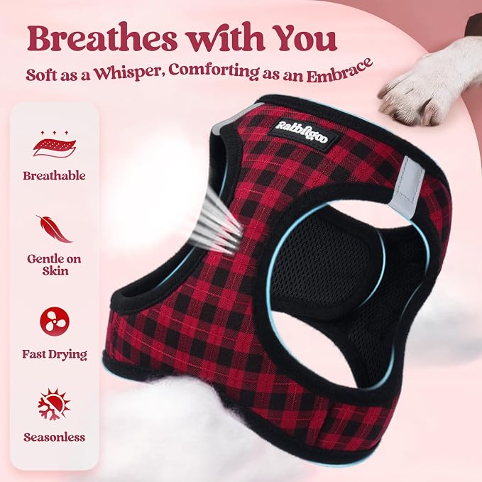 rabbitgoo Dog Harness Small Sized and Leash Set, Step-in Puppy Pet Vest | Light, Soft, Breathable Air Mesh, Easy on and Remove with Hook & Loop, Secure Reflective for Walking, Red Check XS - Image 4