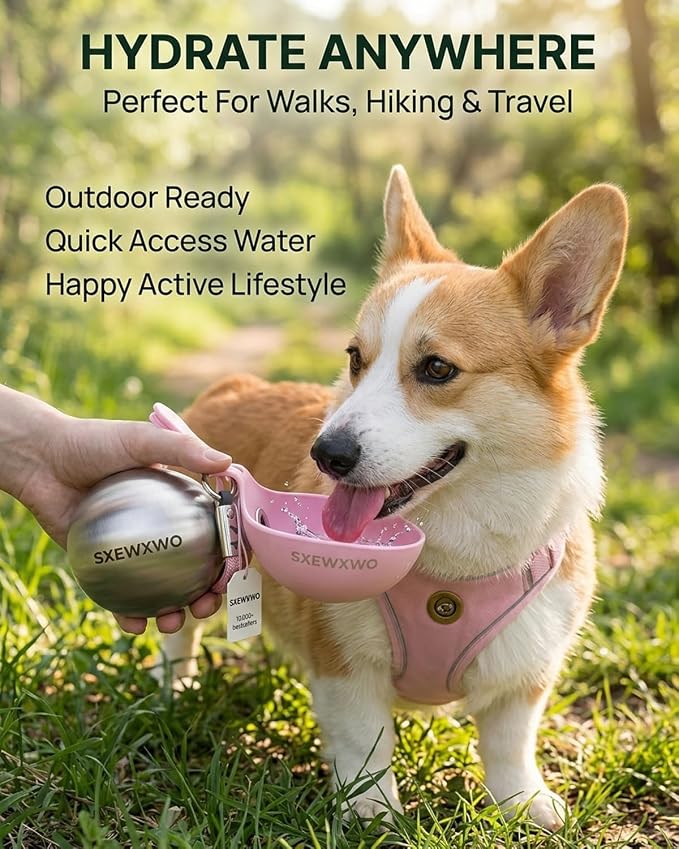 The 2-in-1 Dog Water Bottle & Bowl 2026 New Portable Trave Pet Dispenser Perros Silicone Water Ball Spill Proof Container Design on Walks Walking Hiking Insulated Round Botella Animal (Blue) - Image 2