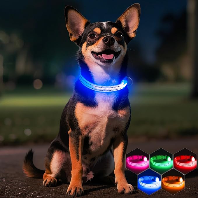 Light Up Dog Collar for Small Dogs, LED Dog Collar Rechargeable Safety Dog Lights, Fully Adjustable Glow in The Dark Dog Collar Light for Night Walking & Camping (X-Small, Blue) - Image 9