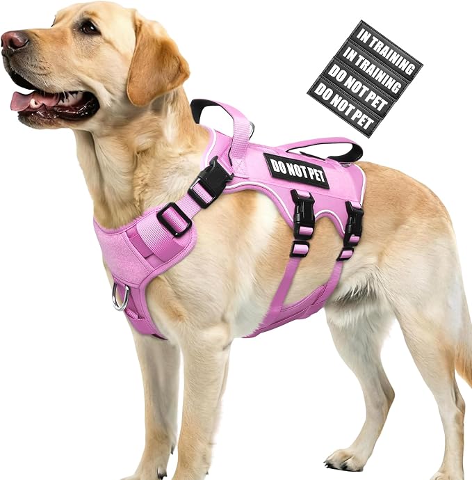 WINSEE Escape Proof Dog Harness with Double Handle+4 Removable Patches | Service Working Molle Harness with Double Handle for Large Dogs, Tactical Pet Reflective Vest for Walking Hiking Hunting by WINSEE
