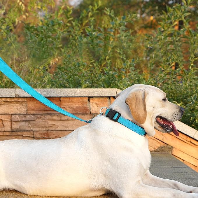 6 FT Basic Dog Leash for Small Dogs,Sky Blue | Padded Handle,Metal D-Ring,Heavy Duty Nylon Webbing, for Walking & Training - Image 3