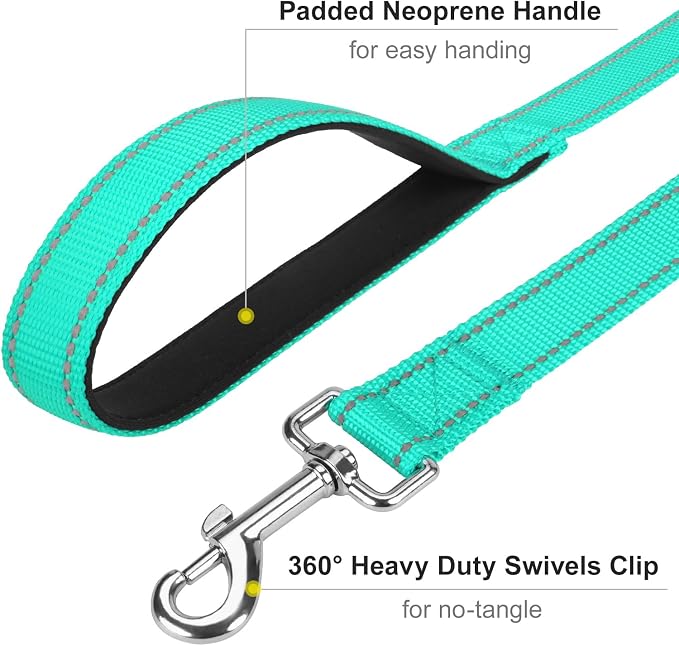 4FT Reflective Dog Leash, Padded Handle for Medium Large Dogs | Comfortable Nylon, Soft Handle Cushioning, Reflective Safety at Night, Training Leash for Park & Hiking (1in, Turquoise) - Image 5