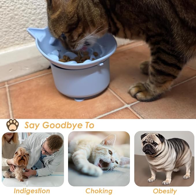 Elevated Cat Bowl, Silicone Pet Bowls for Food and Water, Wide Shallow Kitten Food Dish, Whisker Fatigue, Lead & Cadmium Free, Great Height for Cat (Sky Blue) - Image 5