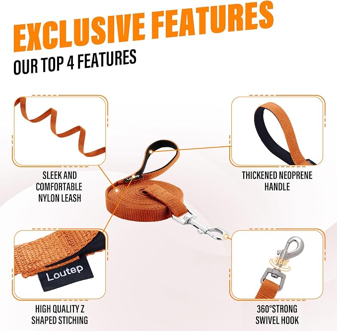 Long Line Dog Training Leash with Padded Handle, 100 ft, Orange | Durable nylon webbing with reinforced stitching and 360° swivel clip for recall and obedience - Image 5