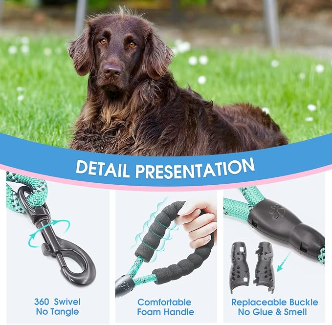 2/4/5/6 FT Dog Leash with Comfortable Padded Handle and Highly Reflective Threads for Small Medium and Large Dogs (5FT-1/2'', Turquoise) - Image 3
