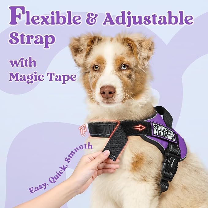 rabbitgoo No Pull No Choke Pet Vest, Adjustable Pet Harness with Molle | Medium Sized Dog Harness, Reflective, Easy Wearing with One Buckle for Walking, Training, Purple, M - Image 5