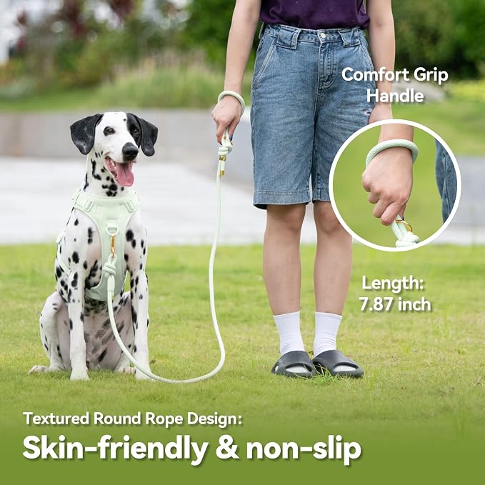 5FT Dog Leash Puppy Cat Rope Lead for Small Medium Large Dogs | Light Green, with Anti-tangle Swivel Clip, Comfortable Non-slip Grip Handle, Ideal for Daily Walks and Training - Image 4