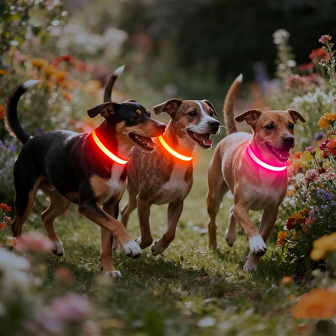 Vizpet LED Dog Collar, Light Up Dog Collar Adjustable USB Rechargeable Super Bright Safety Light Glowing Collars for Dogs(Large,Red) - Image 7
