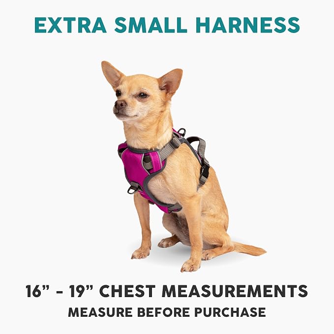Embark No Pull Dog Harness, Reflective Adjustable Training Vest, No Choke | Adjustable straps fit all dog breeds with sturdy hooks; 360° reflective trim, soft padded Harness Design for All Dogs - Image 2