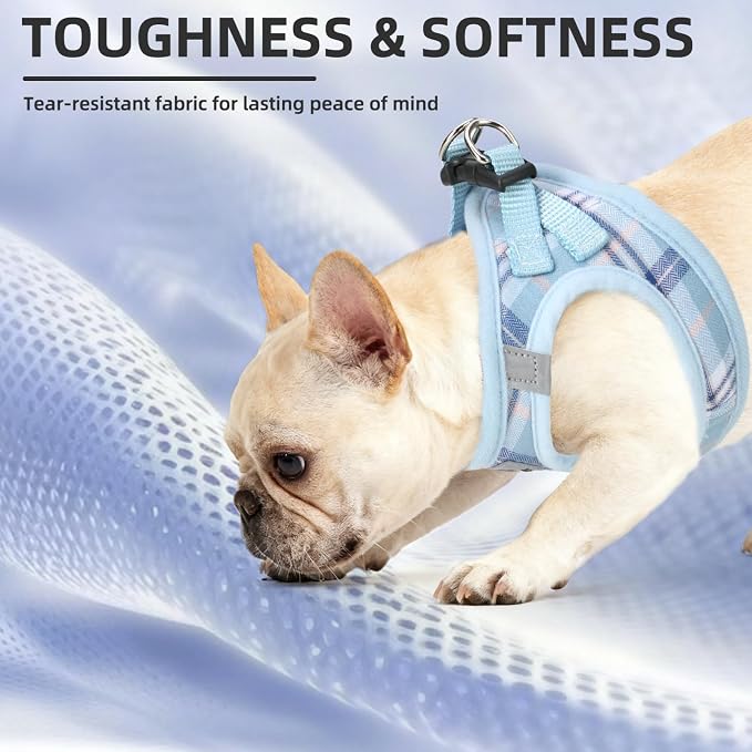 PUPTECK Dog Harness, Collar and Leash Set No Pull for Small Medium Sized | Plaid Puppy Step-in Escape Proof Reflective No Choke Pet Cat Adjustable Walking Vest - Image 6