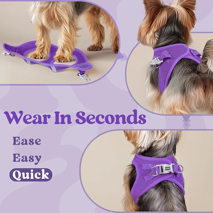 rabbitgoo Step-in Small Dog Harness, Puppy Vest for Small Sized Pet | Easy Put on and off, Lightweight, Soft, Breathable Quick-Dry Air Mesh for Comfortable Secure Walking, Purple XXXS - Image 5