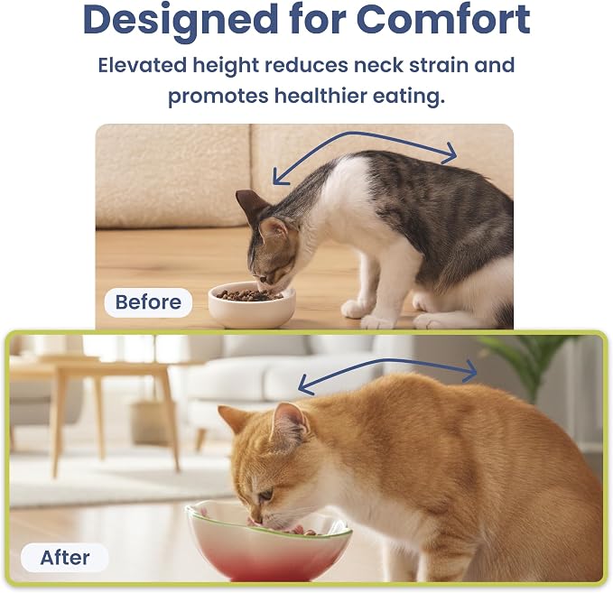 Strawberry Blooms Elevated Ceramic Cat Bowl, Red | Raised Cat Food Bowl with 15° Tilt, Whisker-Friendly Pet Feeding Bowl, Anti-Choking Dish, Dishwasher Safe - Image 9