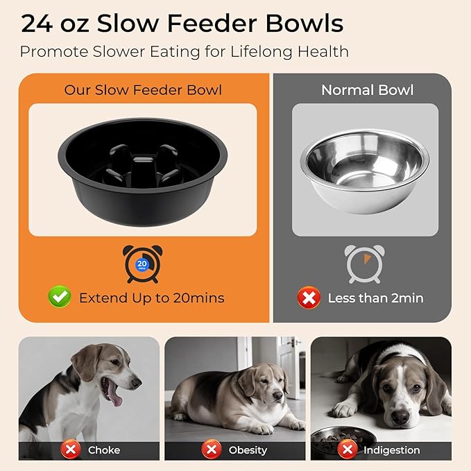 URPOWER Mess Proof Elevated Dog Bowls for Small Dogs with Slow Feeder | No Spill Water Bowl, Slow Feeder Dog Bowls, Non-Slip Food and Water Bowl Set for Small, Medium & Large Dogs - Image 4