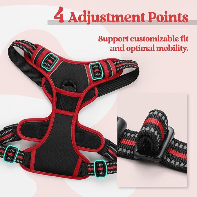 rabbitgoo Dog Harness, No Pull Medium Sized with 2 Leash Clips, Pet Vest | No Choke with Handle, Adjustable Soft Padded, Reflective, Easy Control for Walking, Black & Red, Medium - Image 4