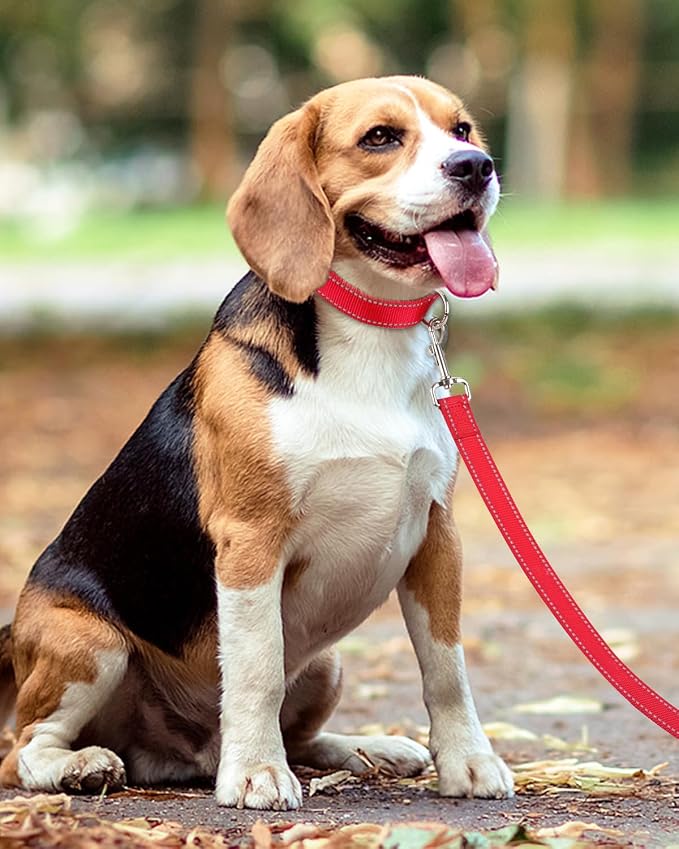Taglory Reflective Dog Leash for Small Dogs, 3/4in x 6ft, Red | Ideal for Night Walking, Strong for Sudden Pulls, Lightweight & Gentle on the Neck, Soft Padded Handle - Image 6