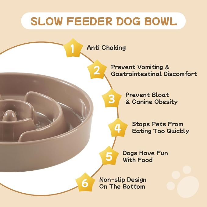 Havniva Elevated Slow Feeder Dog Bowls, Ceramic Dog Bowl Slow Feeder Set | 0.9 Cups Raised Slow Feeder Dog Bowl for Small Breed, 6.1” Dog Water Bowl with Wooden Stand, Puzzle Dog Food Bowl, Non-slip - Image 6