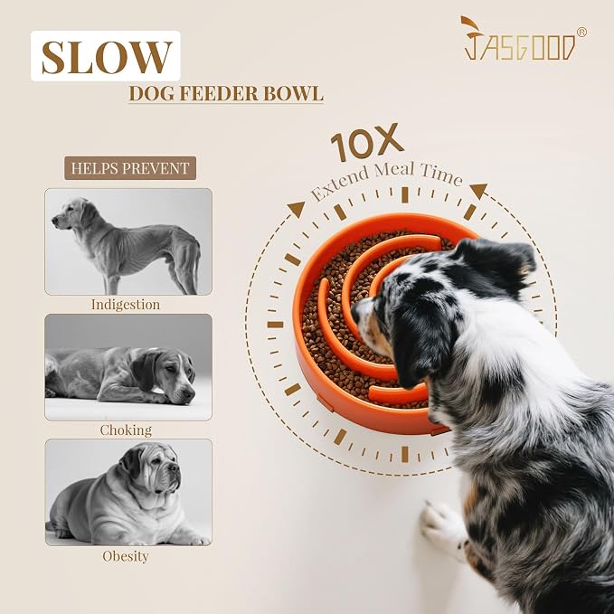 JASGOOD Slow Feeder Dog Bowl - Anti-Gulping, Prevents Bloat & Choking, Healthy Design for Large & Medium Dogs - Image 3