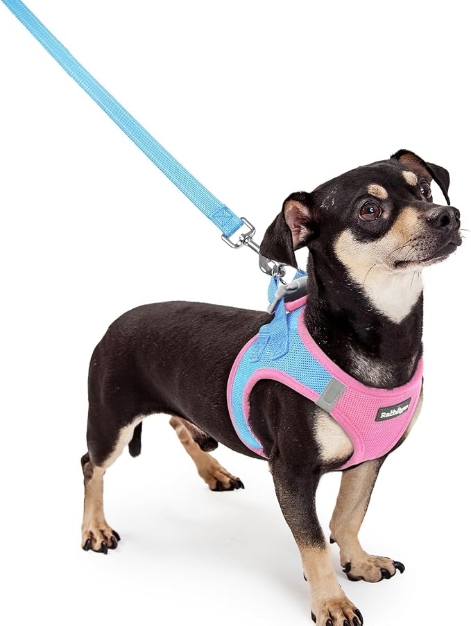 rabbitgoo Dog Harness Small Sized and Leash Set, Step-in Puppy Pet Vest | Light, Soft, Breathable Air Mesh, Easy on and Remove with Hook & Loop, Secure Reflective for Walking, Blue & Light Pink XXXS by rabbitgoo