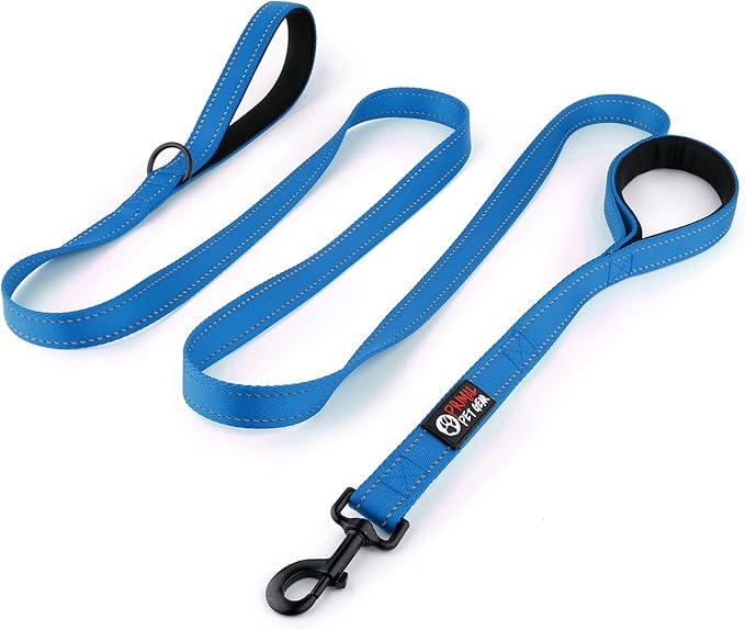 Dog Leash 8ft Long - Blue - Traffic Padded Two Handle - Heavy Duty - Double Handles Lead for Control Safety Training - Leashes for Large Dogs or Medium Dogs - Dual Handles Leads by PrimalPetGear