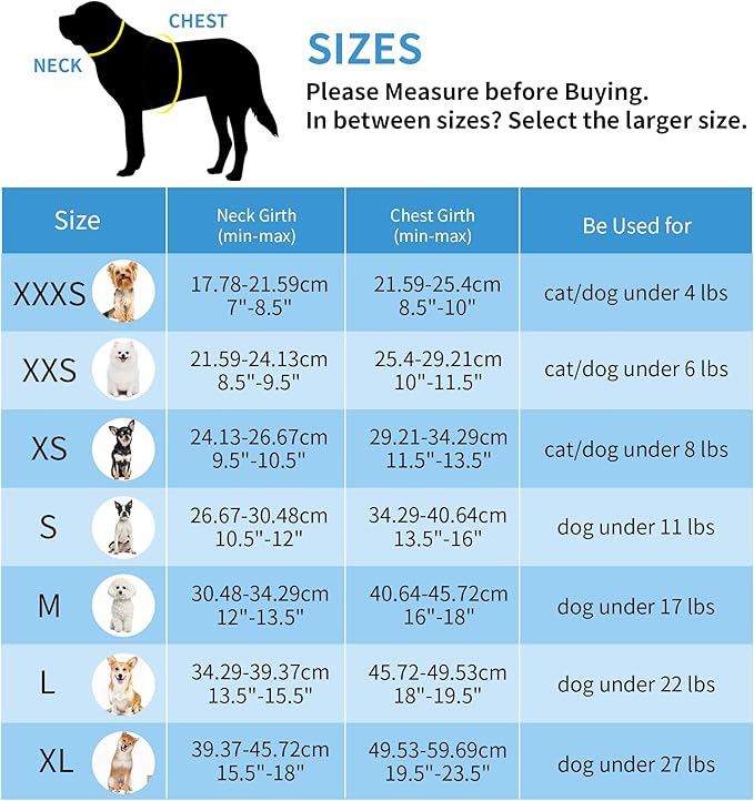 AIITLE Small Dog Harness and Leash Set, Step-in Puppy Pet Vest, Beige XS | Light, Soft, Breathable Air Mesh, Escape-Proof, Easy on and Remove with Hook & Loop, Secure Reflective for Walking - Image 7