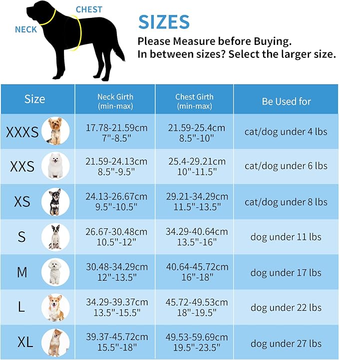 AIITLE Dog Harness and Leash Set, Step-in Puppy Pet Vest, Royal Blue XXS | Breathable Mesh, Adjustable Fit, Reflective Design, Padded Leash Handle, for Small-Medium Dogs & Cats, Walking, Training - Image 2