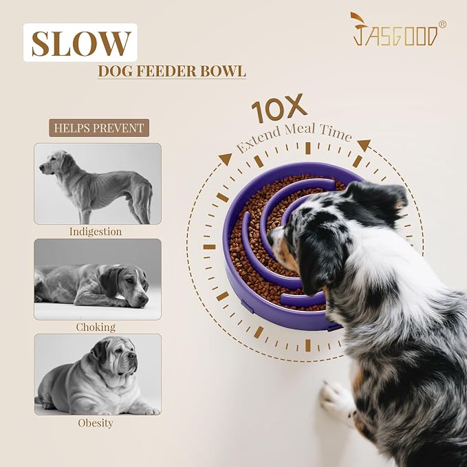 JASGOOD Slow Feeder Bowl for Large Dogs, Anti-Gulping Pet Bowl, Prevents Bloat & Choking - Image 3
