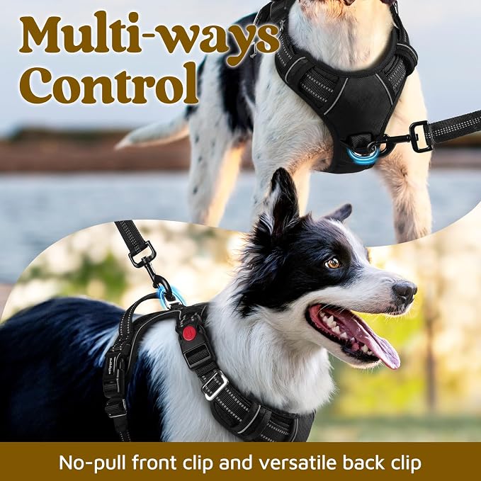 rabbitgoo Dog Harness for Large, No Pull 3 Buckles Easy On & Off | Soft Padded, Walking with Control Handle, Adjustable and Reflective, Black, Large - Image 3