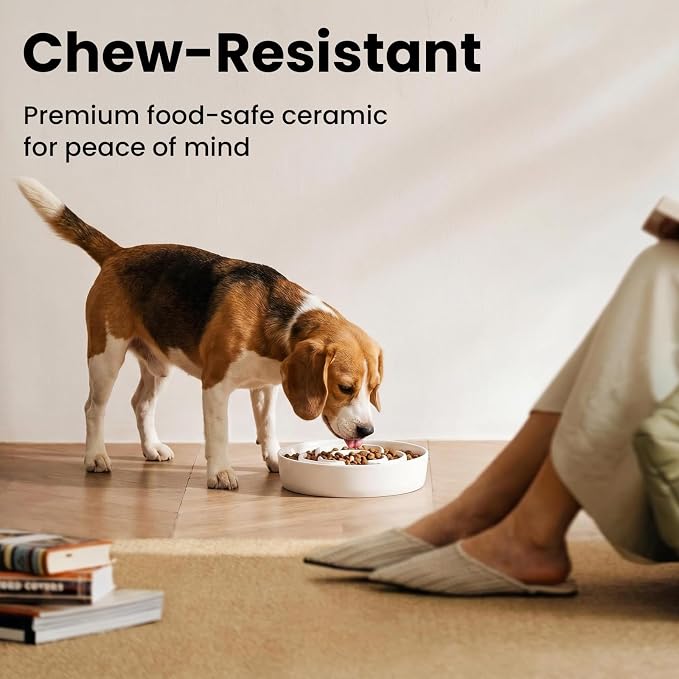 Ceramic Slow Feeder Dog Bowls 1.6 Cups for Medium & Small Fast Eaters,White | Reduces Bloating,8.07x1.77 Inch Dish For Daily Dog Meals, Maze Puzzle Slows Down Eating, Anti-Choking,20oz Water - Image 5