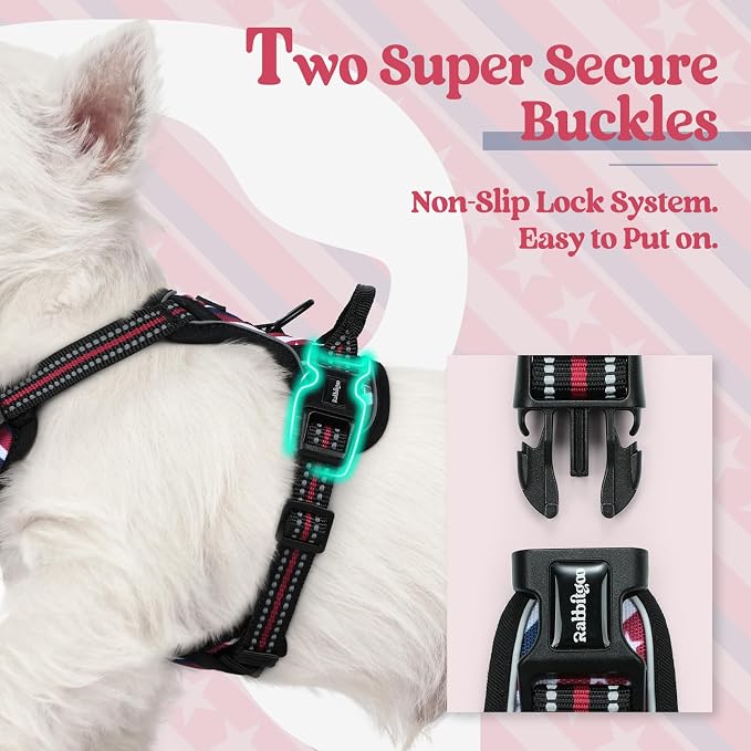 rabbitgoo Dog Harness, No Pull for Small Dogs with 2 Leash Clips, Pet Vest | No Choke with Handle, Adjustable Soft Padded, Reflective, Easy Control for Walking, Red Stripe, X-Small - Image 3