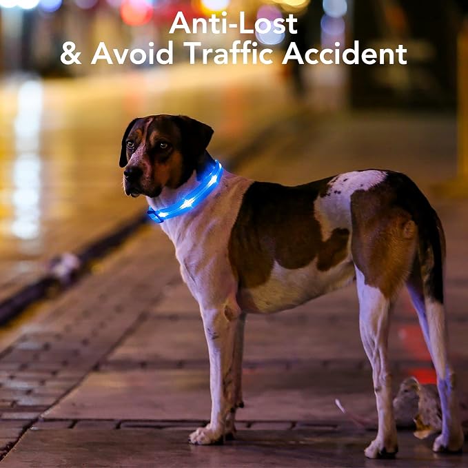 Weesiber Light Up Dog Collars - Rechargeable LED Collar - Reflective Adjustable Dog Lights for Night Walking (Blue, Medium) - Image 2