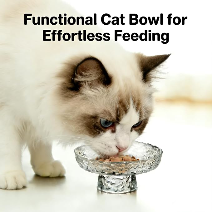 Elevated Cat Bowls, Small Glass Pet Feeding Bowls for Food and Water, Raised Design for Pet Easy Eating - Image 2
