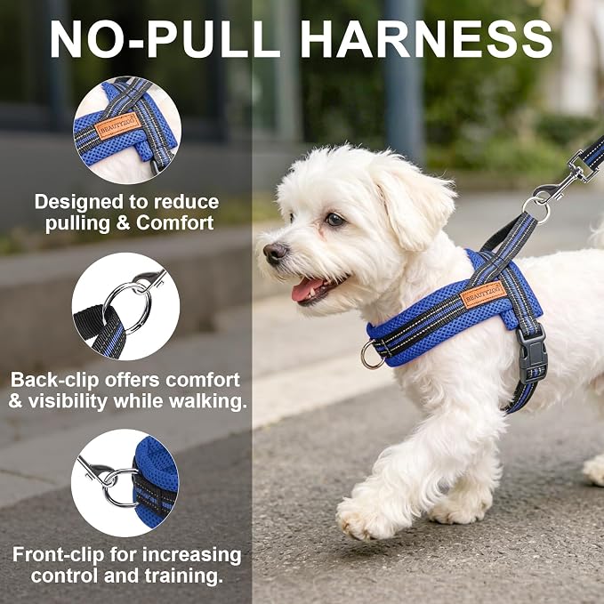 BEAUTYZOO Small Dog Harness and Leash Set, No Pull Step in Puppy Vest | Breathable Mesh with Handle, Reflective, Adjustable No Choke Escape Proof, Lightweight, Easy Control for Walking,Dark Blue XS - Image 7