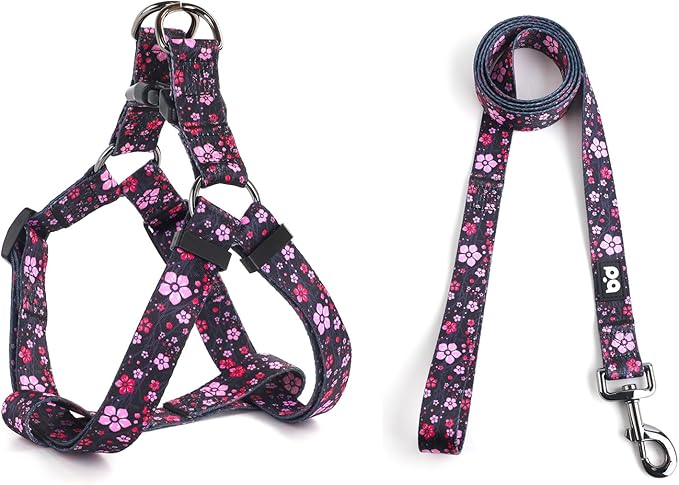 Dog Harness Leash Set Adjustable Heavy Duty No Pull Halter Harnesses for Small Medium Large Breed Dogs Back Clip Anti-Twist Perfect for Walking by QQPETS
