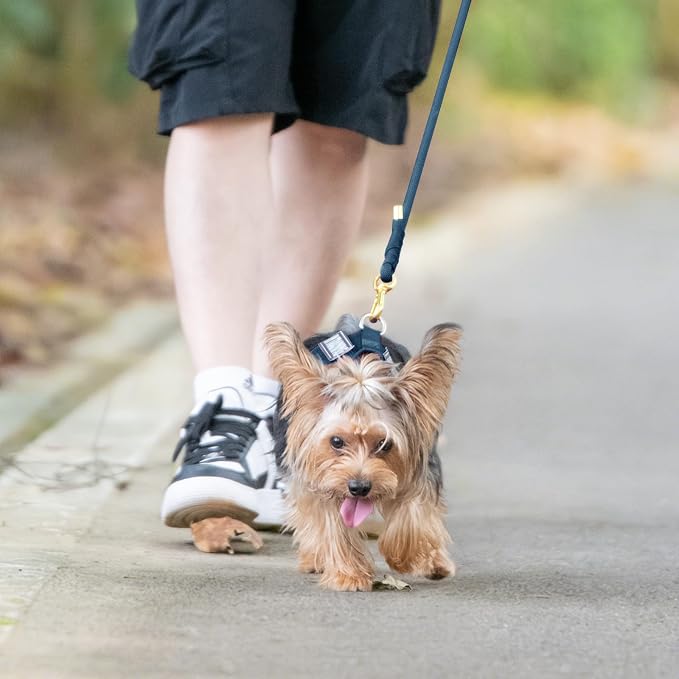 5FT Dog Leash 5/16 inch Puppy Cat Rope Lead | Prussian Blue, with Anti-tangle Swivel Clip, Comfortable Non-slip Grip Handle, Ideal for Daily Walks, for Small Medium Dogs - Image 8