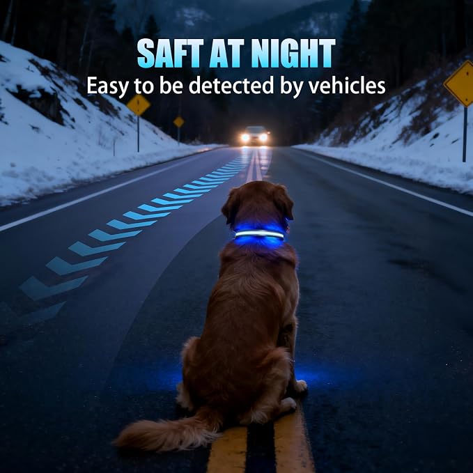 LED AirTag Dog Collar - Brightest Light Up Dog Collars, Black L | IP68 Waterproof Air Tag Dog Collar Holder, 1,600 Feet of High Visibility, Magnetic Charging, Dog Lights for Night Walking - Image 6