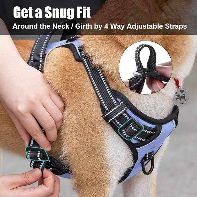 PoyPet No Pull Dog Harness Small, Reflective Vest with Front Clip & Handle | Easy On/Off, No Choke, Adjustable, 2 Leash D-rings, Soft Padded, Breathable, Oxford, for Walking Training, XS, Light Blue - Image 4