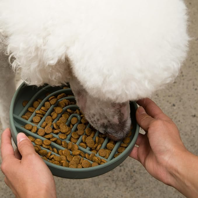 Should We Go? Slow Feeder Dog Bowls - Medium Size Silicone Slow Eating Dog Bowl for Puppies & Dogs with Suction Cup -Dishwasher-Safe, Lick Mat Design, Reduces Gulping,for All Breeds,7.5”x1.5”- Spruce - Image 2